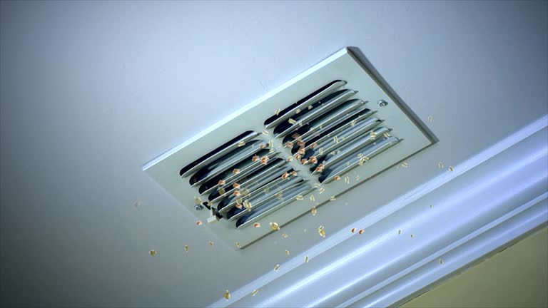 Best Home Air Vent Cleaning  in Gretna, VA